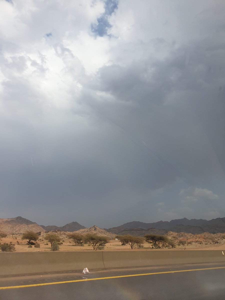 محب الغيث ⛈ tweet media
