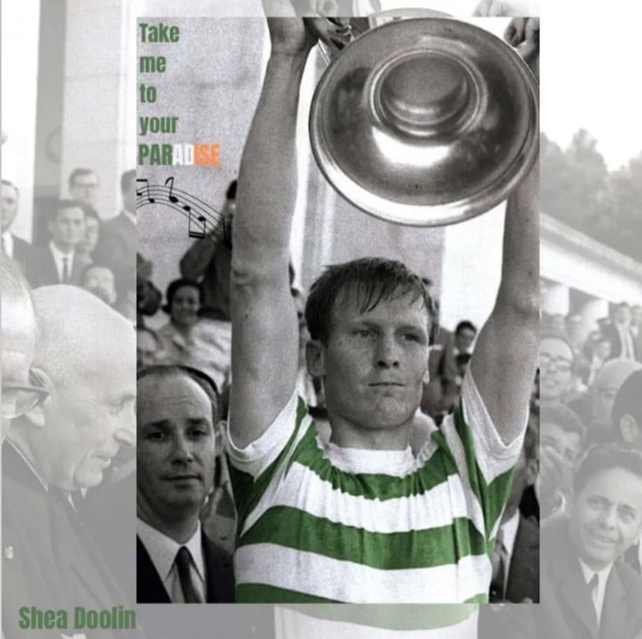 Shea Doolin 🇮🇪🇵🇸 tweet media