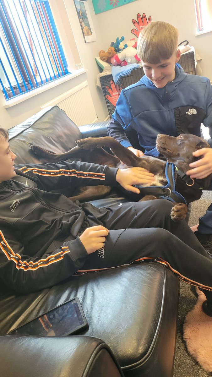 Pivot Academy Leeds East tweet media