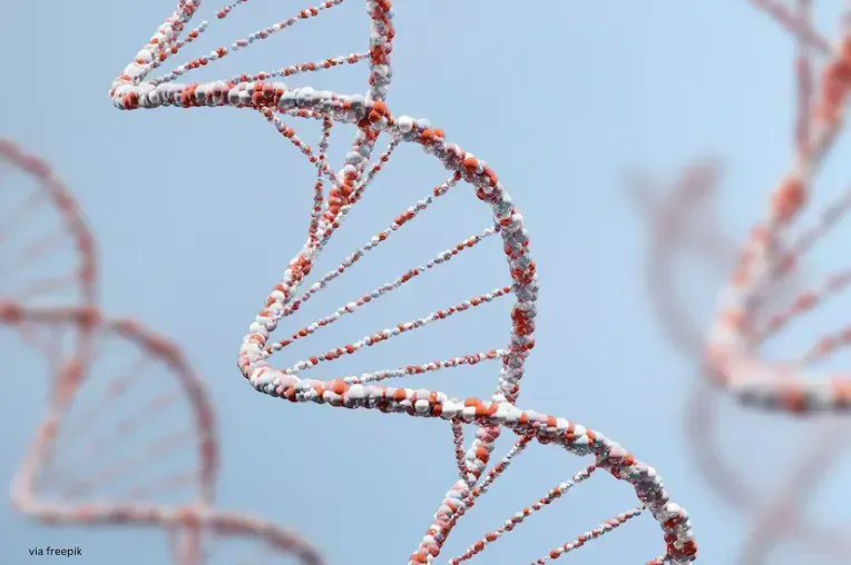 H1Connect's tweet image. For #NationalDNADay, we highlight this recommendation of @MikkoRautiaine3 et al. graph-based pipeline for assembling complete, accurate diploid #genomes. @Nature @KevinYipLab

facultyopinions.com/article/742536…