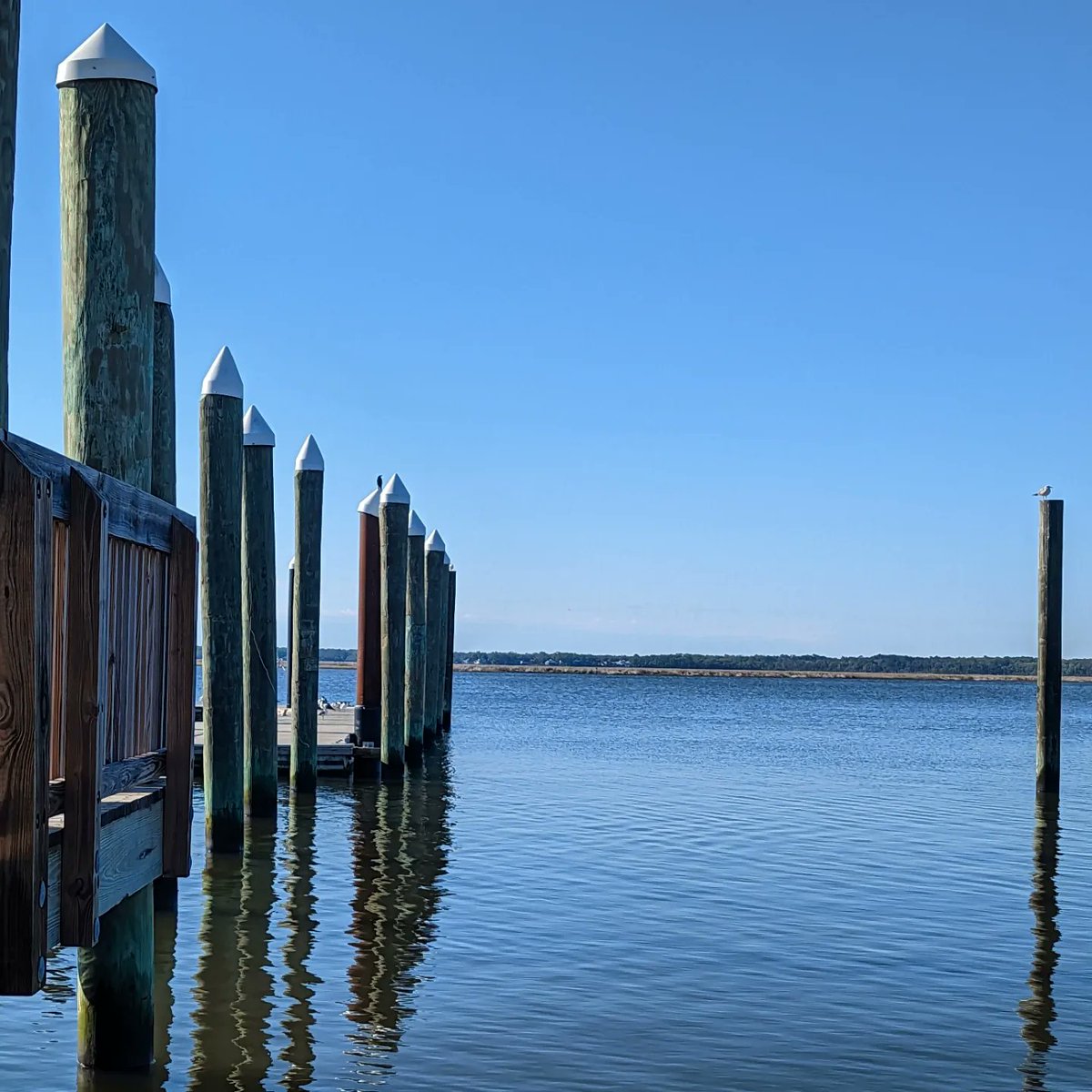 tinyocean_rving's tweet photo. Cumberland Island National Seashore!

#RVTrip32 #SpringBreak #SpringBreak2023 #Georgia #GA #CumberlandIsland #CumberlandIslandNationalSeashore #NationalSeashore #NationalPark #JuniorRanger #Swing #Wedding #StMarys #Ferry #Reservation #TinyOcean #Nature #Outdoors #Family https://t.co/Z6EjSUCagy