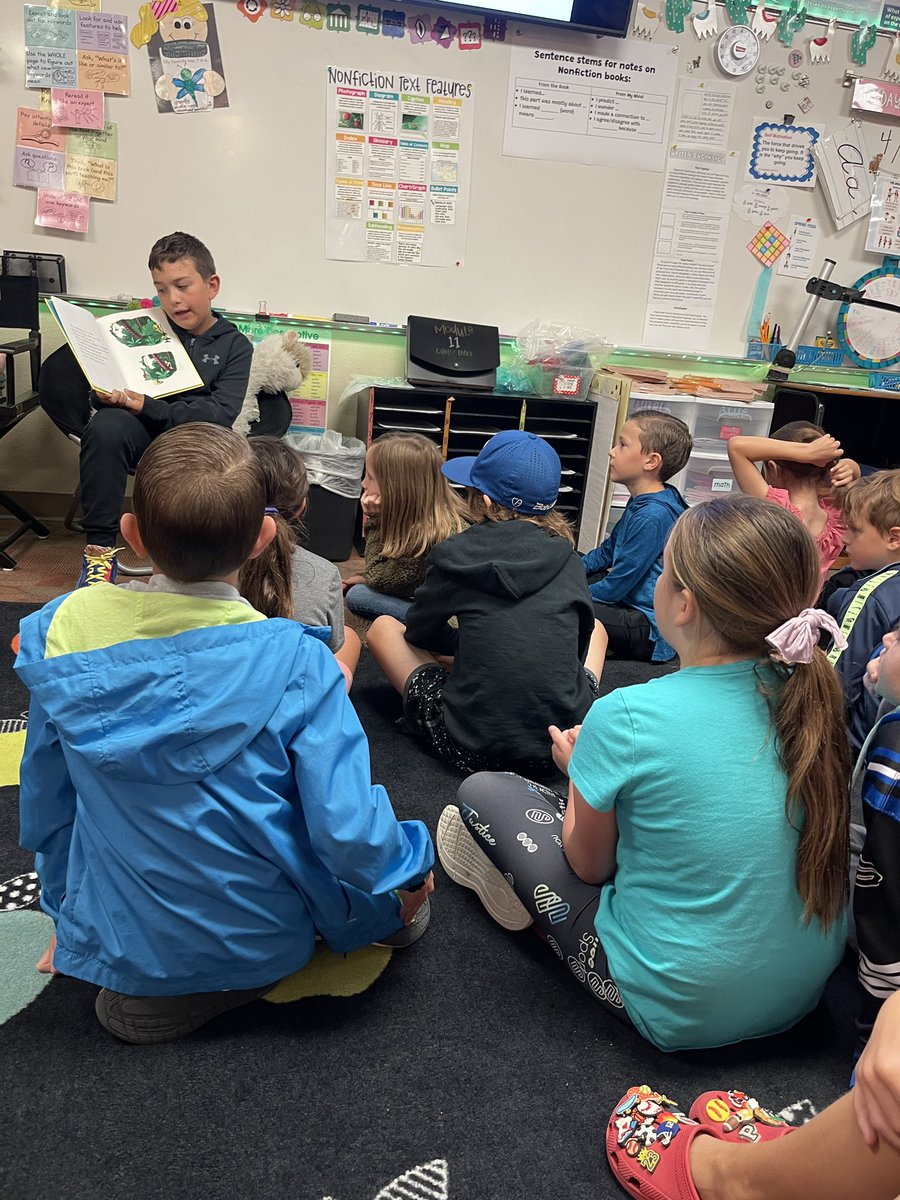 Maclaine Green tweet media