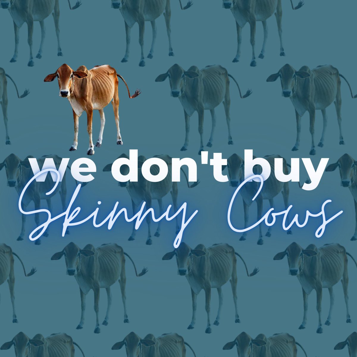 leannecarling's tweet photo. 🐄 We don't buy S K I N N Y C O W S 🐄

Distressed assets and failing businesses are not typically what we do. We buy good, profitable and well-managed businesses, and leverage our teams expertise and experience to add value from day 1...we buy medium cows, and make them fatter. https://t.co/2G7R6utTYG