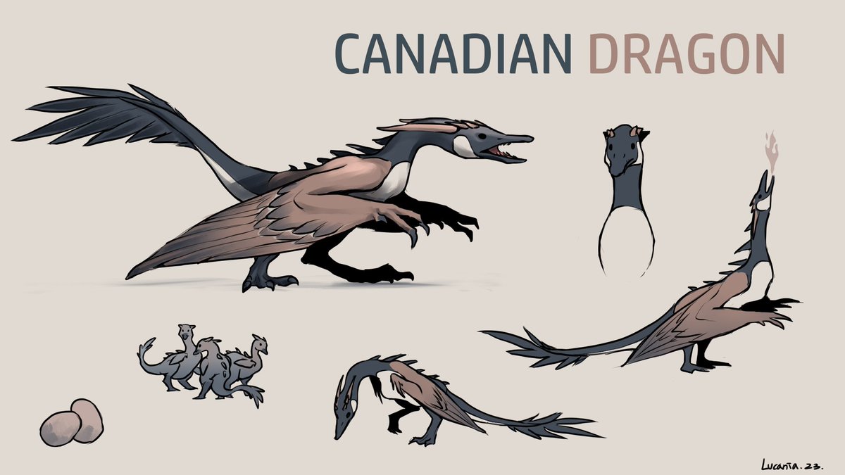 BestLucania's tweet photo. The Canadian Dragon. https://t.co/BEjeVxBeAQ