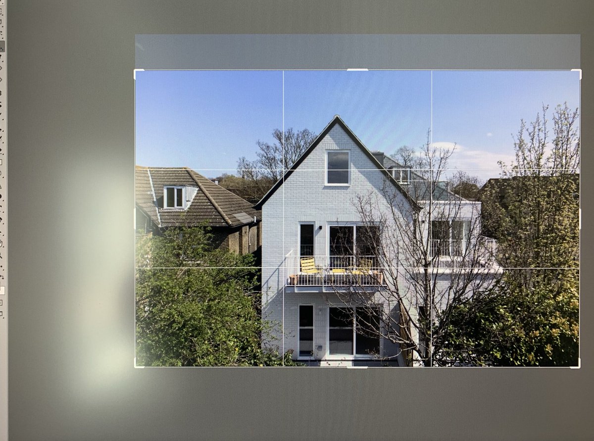 Processing #springlight