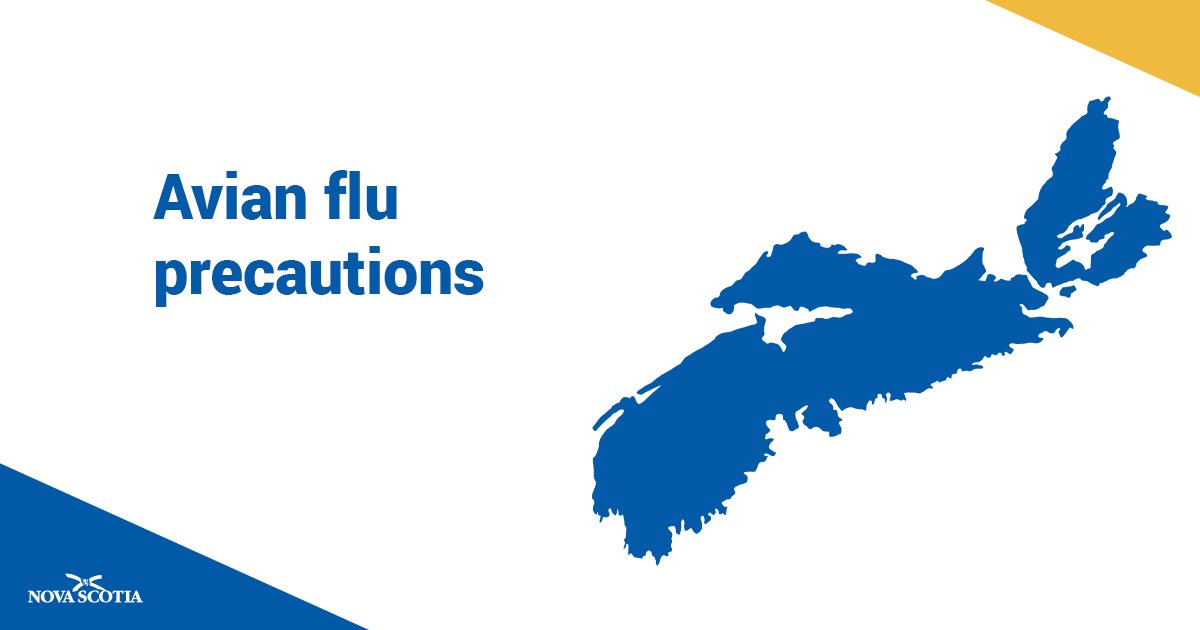 Avian influenza, also known as “bird flu,” has been detected in Nova Scotia. There are steps you can take to limit the spread between birds and protect yourself. 

novascotia.ca/avian-influenz…