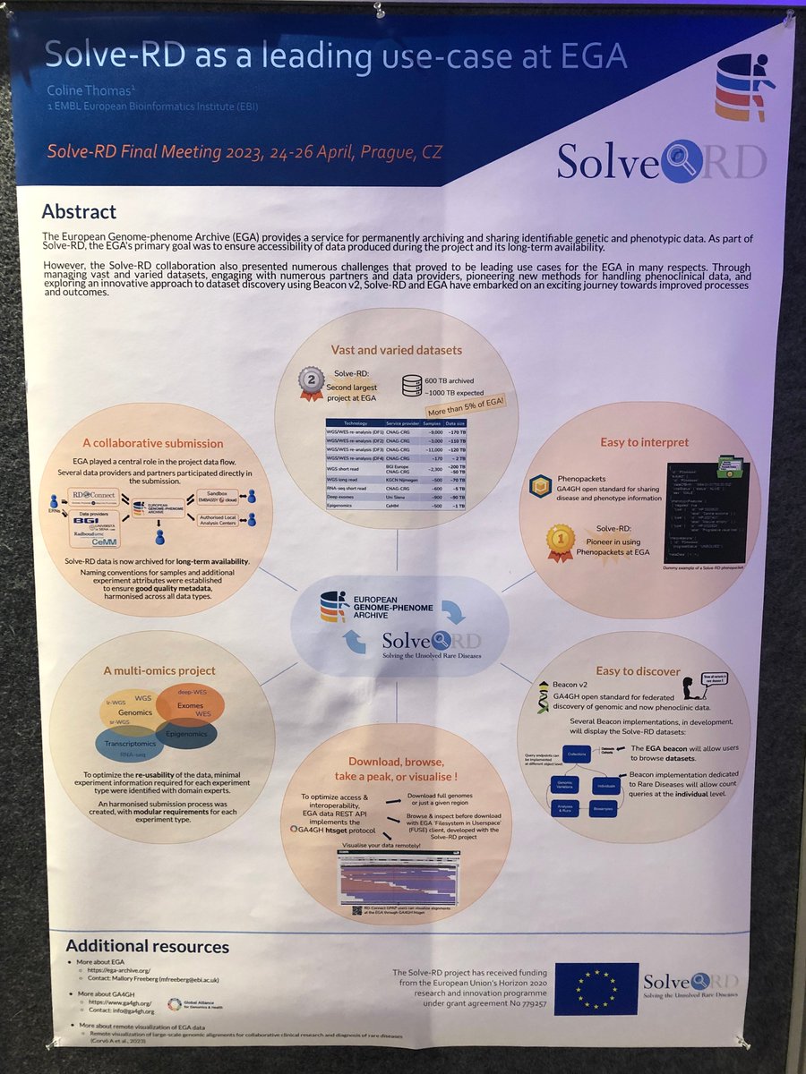 Solve_RD's tweet photo. @Orphanet @ConnectRD @anarath63 @marc_hanauer @drseb_ @hp_ontology @LankanMiller @HorvathLab @cam_mito @NAR_Open @cnag_eu @corvo_alberto @LochmullerLab @rae_tee @BonneGisele @antonioatalaia @LeslieMatalonga @L_F_Johansson @UMCGgenetica @EGAarchive @DylanSpalding @drtkeane @mswertz @molgenis @EJPRareDiseases @ELIXIREurope Did you know Solve-RD is the second largest data contributor to @EGAarchive? 600TB datasets have been archived already (~1000 TB expected) &amp; it's a pioneer in using #PhenoPackets.
Coline Thomas presented this leading use case in a flash talk &amp; poster.
@MalloryFreeberg @drtkeane https://t.co/eMxjWRf47S