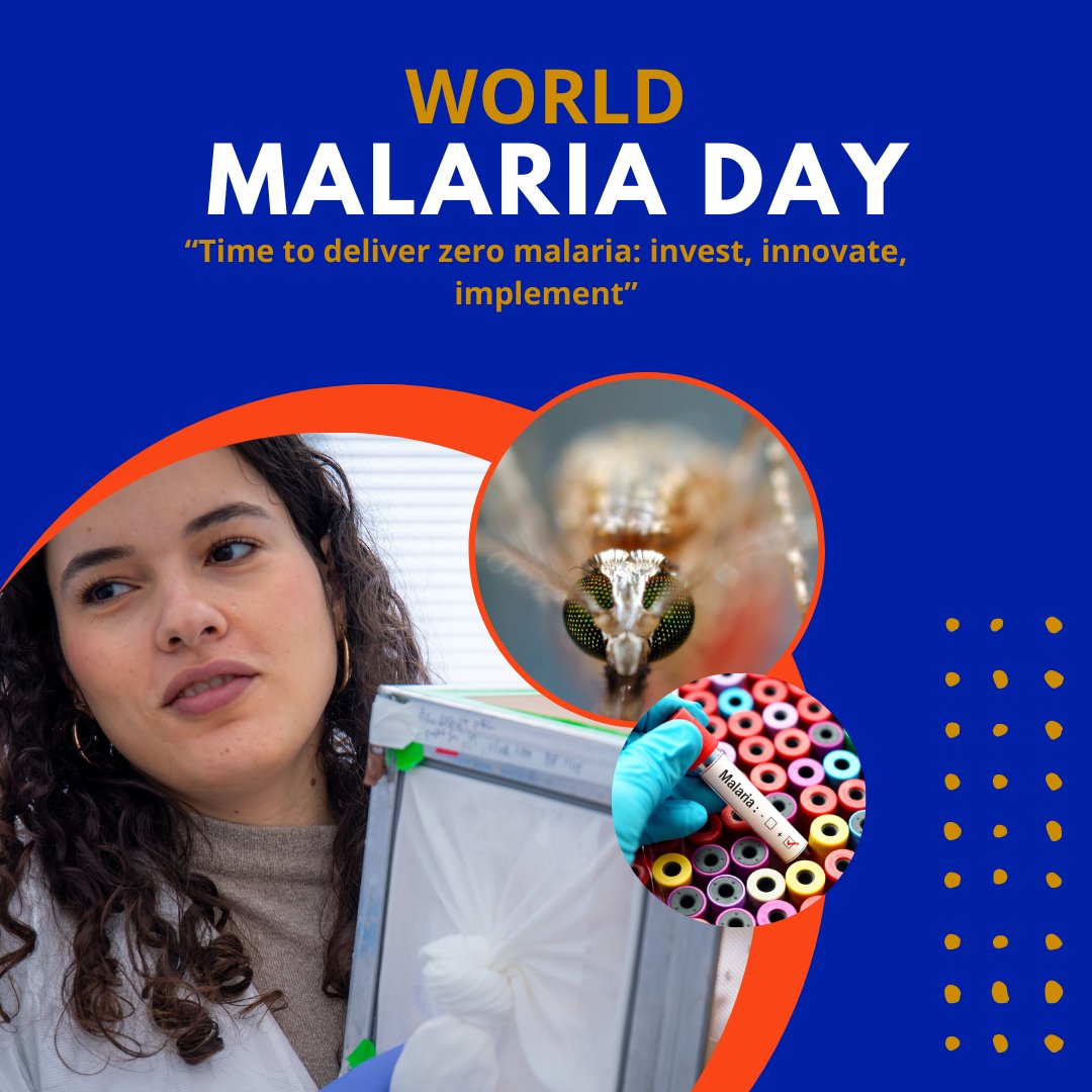 Today is #WorldMalariaDay2023. There have been over 240 million cases of #malaria and over 600,000 malaria deaths in 2021. Our members from @UFVetMed, @UF_CLAS, @UFCALS & @UFMedicine engage in research to help combat the disease. We'll share their work throughout #MalariaDay.