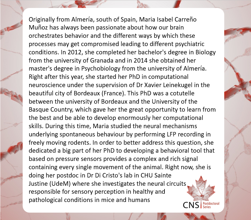 CNS_PDS's tweet photo. Our next talk (May 4th 12pm PT/ 3pm ET) will be a co-hosted event where you'll be able to meet our members @MICarrenoMunoz anddd (...see part 2). Save the link https://t.co/KMrYdva9BB https://t.co/YrWbfKA2YQ