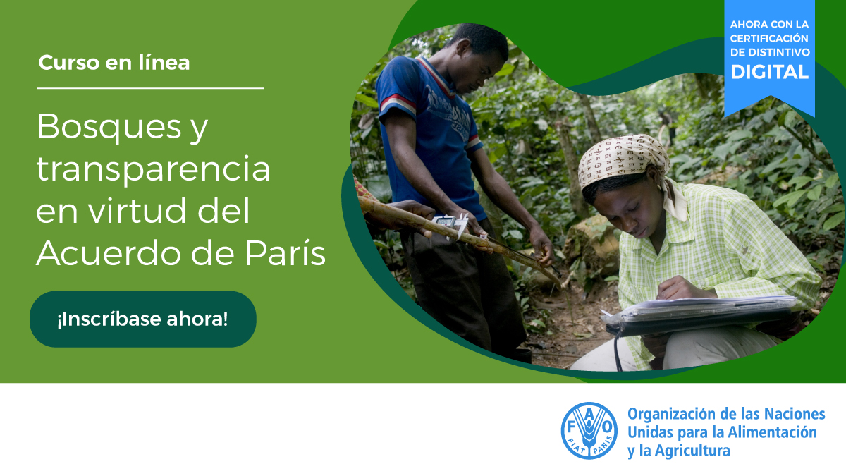 FAOCampus's tweet image. ¿Quiere saber más sobre la importancia de los datos forestales transparentes para el Acuerdo de París? 

¡Inscríbase hoy mismo en el curso de autoaprendizaje de la FAO y obtenga un distintivo digital! bit.ly/2JD1ukw 

#AcuerdoDeParís #AcciónClimática #CBIT-Forest