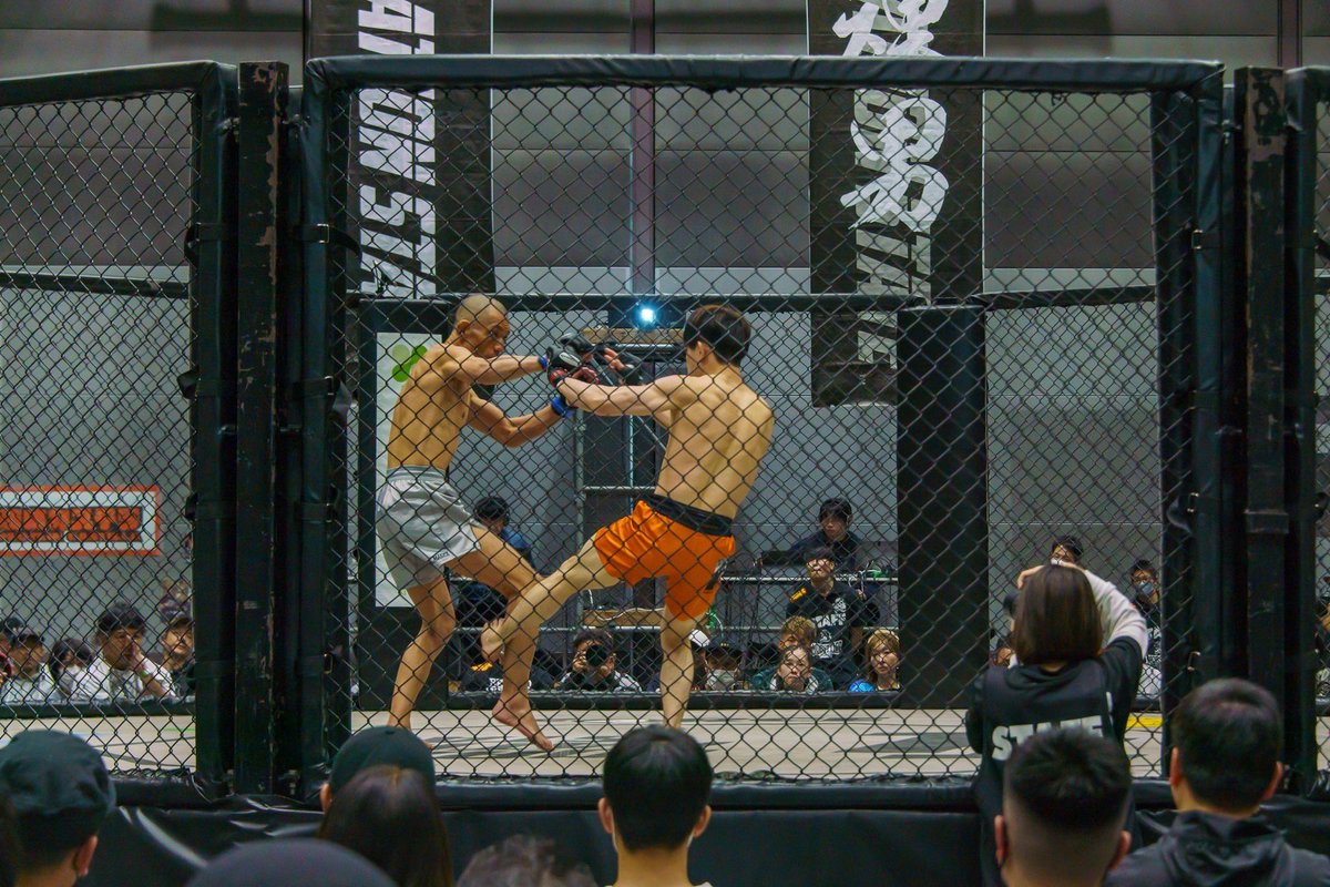 hikaru_curry's tweet image. アタシの道場の先生がMMAの試合で勝ちました🥺🎉🎊
試合内容はよく分かりませんが、カーフキックを起点として終始コントロールしているように見えました。

試合に向けてどんどんカリカリになっていく身体を見て「プロすげぇ…」って感じました。
#shooto0423 #FORCE17