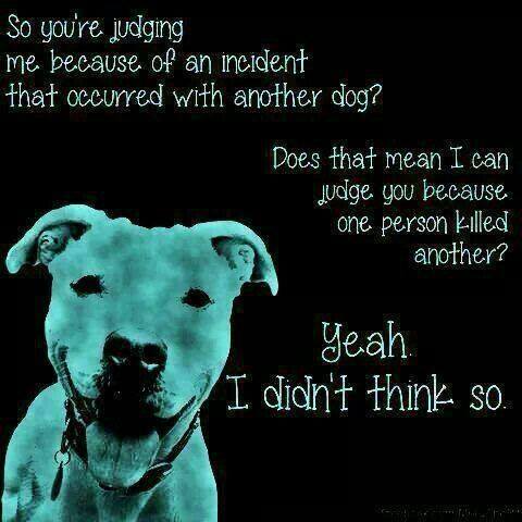 There is no such thing as a dangerous breed but, there is no shortage of dangerous humans #endBSL