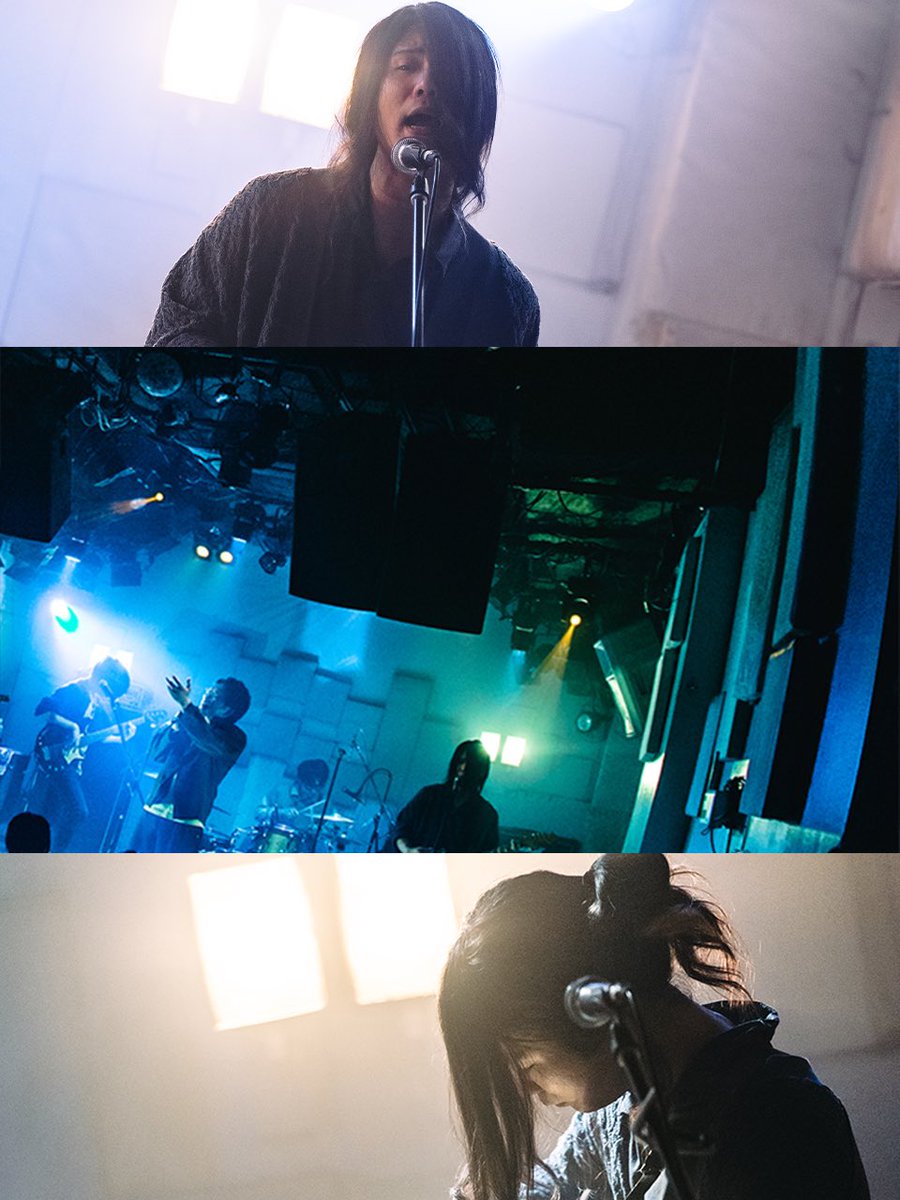 itukanonp's tweet image. 【 📸📸 ライブ写真到着 📸📸 】

昨夜は2MAN LIVE「 ilmur 」
みなさん
お楽しみいただけましたでしょうか？？

昨夜のライブ中に発表された
06.30@下北沢MOSAiC
いつかのネモフィラ
ONE MAN LIVE「 bloei 」の
チケットも早割価格で販売中です👏👏👏
t.livepocket.jp/e/20230630

📸 by @sueyoshiryouta