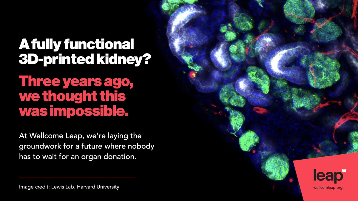 3D printing a viable human kidney? Putting an end to years-long transplant waiting lists? Delivering hope to tens of thousands of families waiting for a miracle? We're working to make the seemingly impossible possible. Follow us at bit.ly/3GU4ymJ #DonateLifeMonth