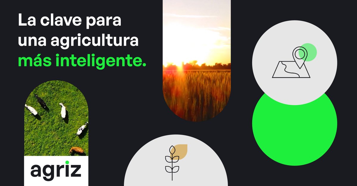 ciampagna's tweet photo. Agriz es un producto para organizaciones del sector agrícola, una solución integral que ofrece herramientas para la toma de decisiones🌾

Poteciá tu organización con agriz 💪🏽 https://t.co/XnBUp6BZmB
