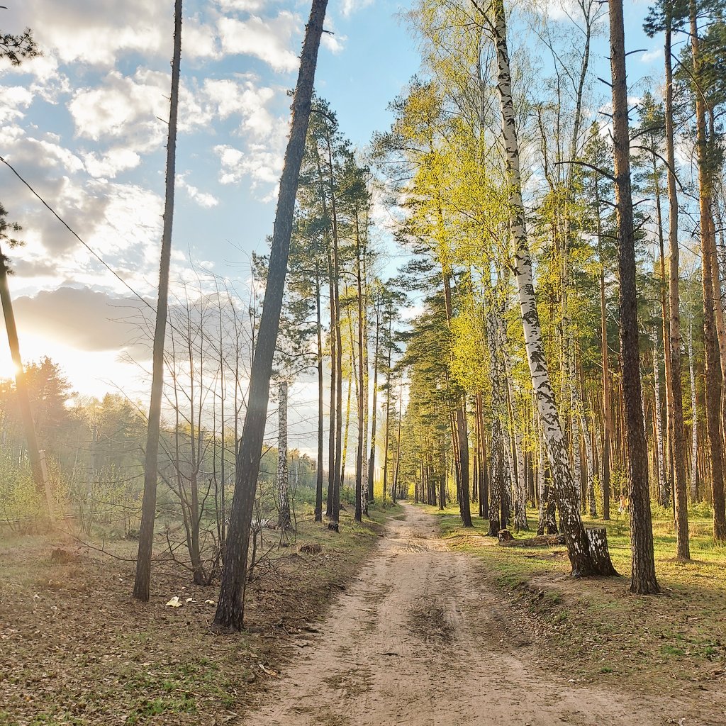 Good morning world 🌎 

Remember that you can only share what you have! If you want peace, find the peace that is within you!