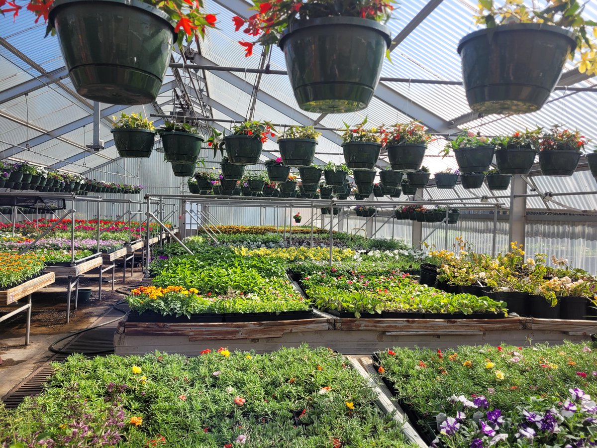 Henrico Schools on Twitter "Spring plant sales today and Wednesday at