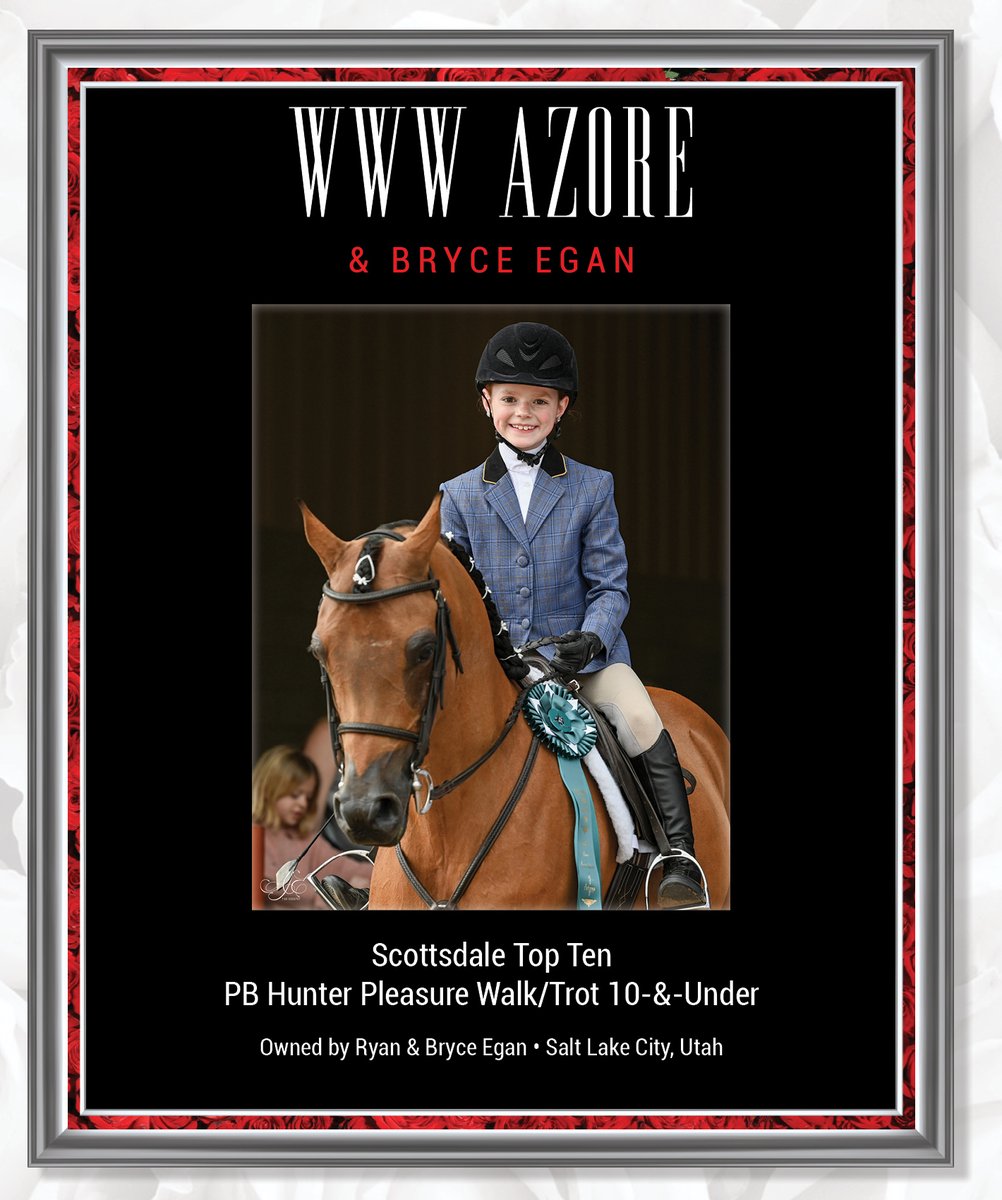 NH_Arabian's tweet photo. #nationalhorsemanarabian #toptengallery #scottsdale #bryceegan #hunterpleasure #arabianhorse https://t.co/hER5iz7a57
