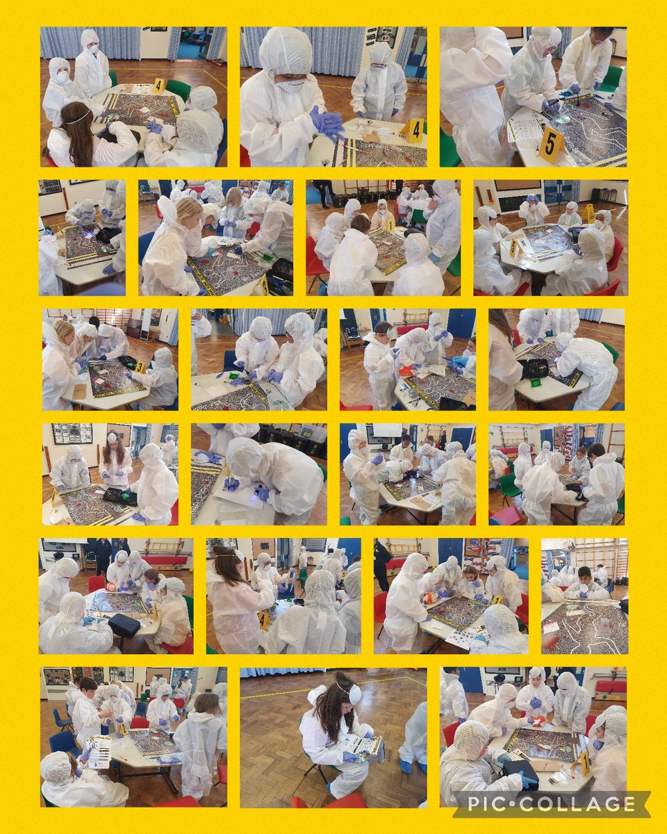 Y5Auckley tweet media