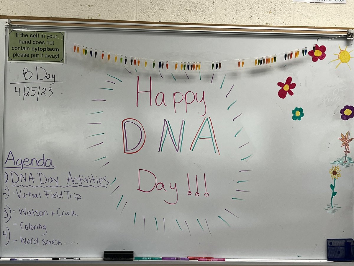 Melissa Bryant tweet media