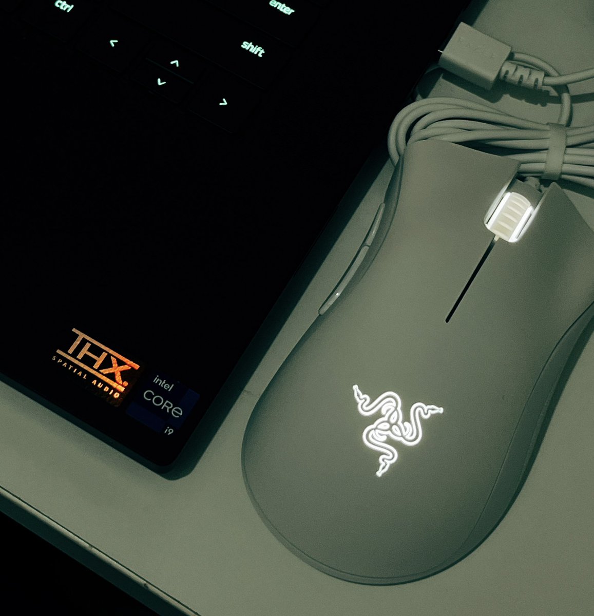 natalielpy's tweet photo. Welcome to the family 💻🖱️
#razer #blade15 #deathadder
Essential is good enough but I thought it’s gonna be much smaller ✋🏻🥲 https://t.co/YSf2hwxa1u