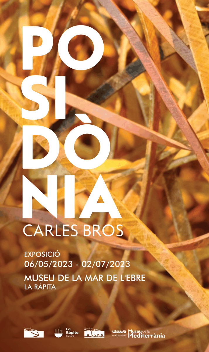 📢EXPOSICIÓ| Presentam nova exposició!

Carles Bros reivindica, a través de la posidònia, un  missatge en defensa de la natura i la Mediterrània.

El 6 de maig a les 11 h no et perdis l’oportunitat de descobrir el llegat de Bros en la necessitat de preservar els fons marins.🌱🙏