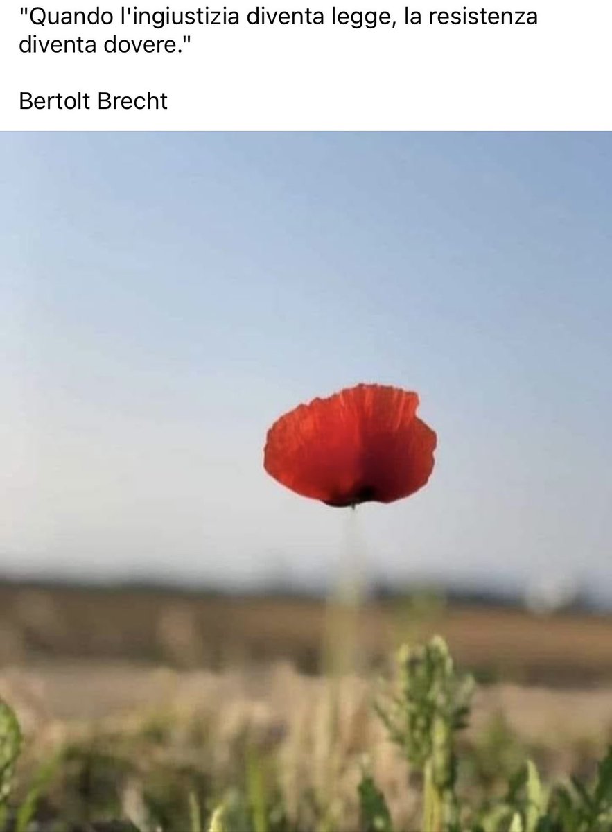 danielarot's tweet photo. Buon 25 Aprile🇮🇹 https://t.co/23P8Om1F1i