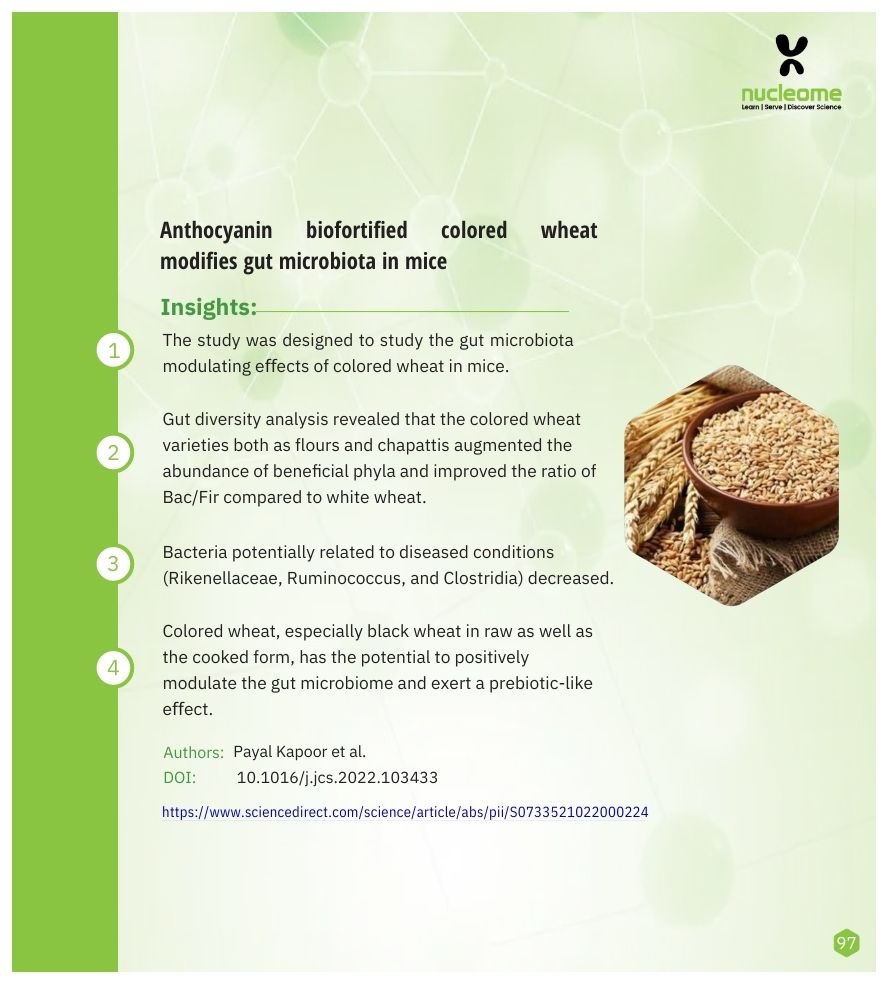 Anthocyanin biofortified colored wheat modifies gut microbiota in mice. The study was conducted under the aegis of NABI and CSIR.

Read the full article- lnkd.in/gqYdcd_s

 #nucleome #wheat #microbiota #NABI #CSIR