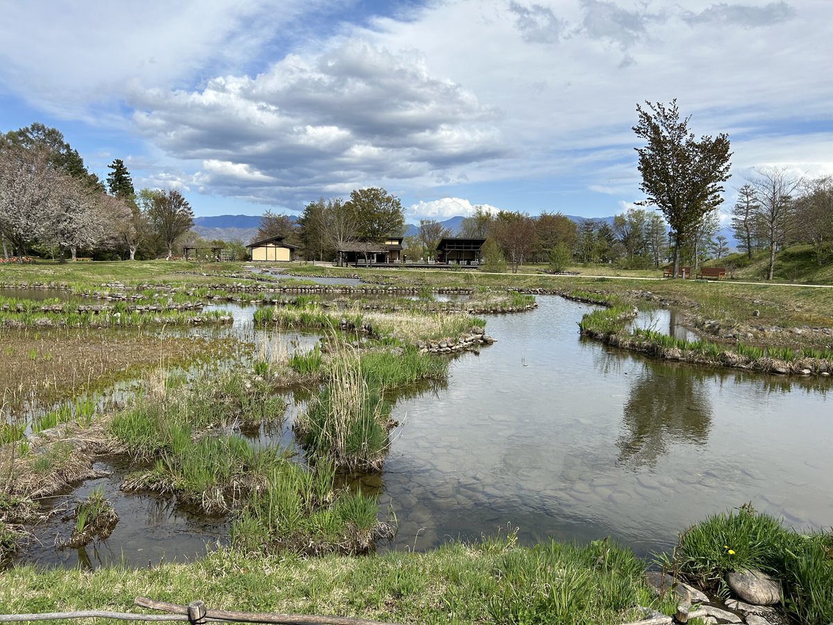 KODANSHA_EN's tweet image. The Japanese year is divided into 72 micro-seasons called Shichijuniko!
The micro-season around May 6 is a particularly nice time of year—it’s when we start to hear frogs and the leaves take on a more vivid shade of green.

(Image: A terraced rice field)

#japan #ricefield