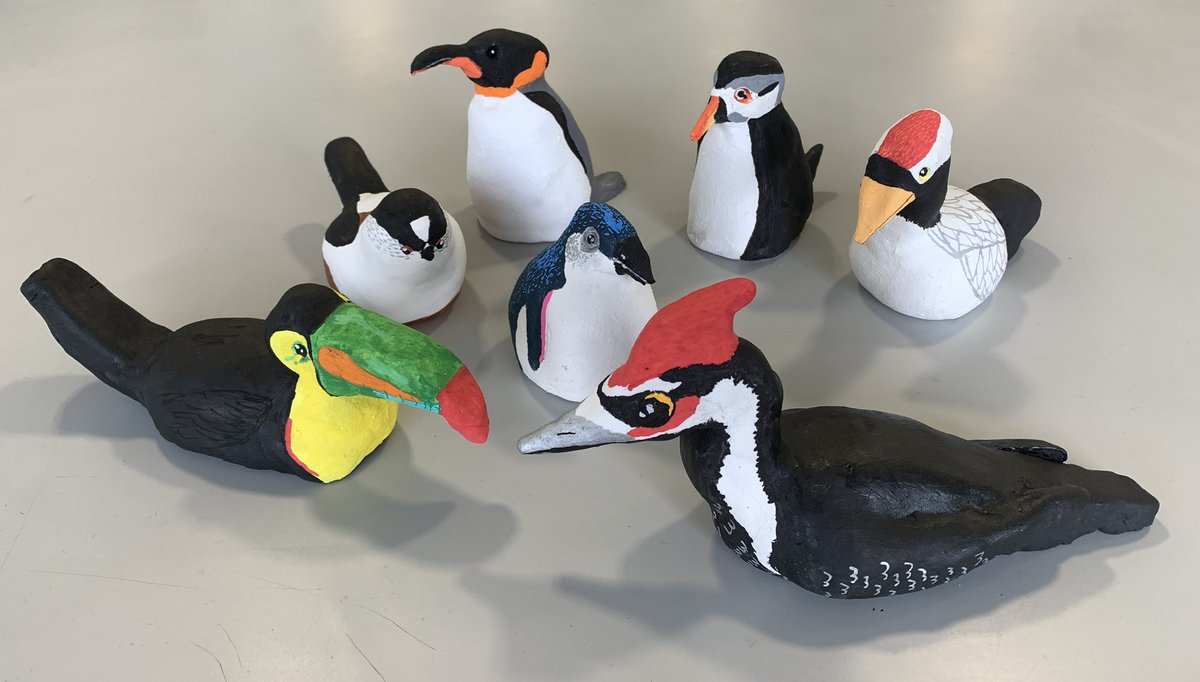 MrsRamosVirley's tweet image. So pleased with the diversity of these Grade 6 ‘birds of the world’ sculptures #artteaching #artED #sculpture #teachingart #artteachersoftwitter #Creative