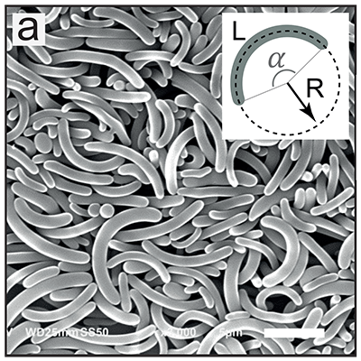 PhysRevE's tweet photo. Editors' Suggestion: Effect of curvature on the diffusion of colloidal bananas, Justin-Aurel Ulbrich, Carla Fernández-Rico, Brian Rost, Jacopo Vialetto, Lucio Isa, Jeffrey S. Urbach, and Roel P. A. Dullens @dullenslab
@carlacolloids  #SoftMatter #Topology https://t.co/RHNqDcayJt https://t.co/99Qjm3nnaq