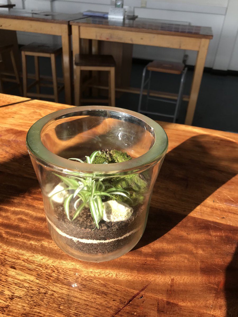 BecketkeysSci's tweet photo. KS3 Science Club- Mr Collins has been sharing his passion of making terrariums with science staff and students. Under his guidance, these are the wonderful terrariums that we've made using old glass jars and science glassware. Reduce, reuse &amp; recycle ♻️ https://t.co/pU9jvPyI5u