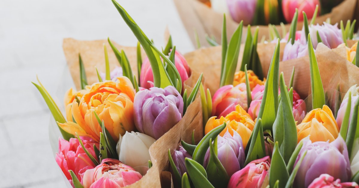 Helaas is burgemeester Bergman wegens ziekte afwezig. De termijn van haar afwezigheid is onbekend. Komende tijd nemen de wethouders en de plaatsvervangende voorzitter van de gemeenteraad haar taken waar. Je ontmoet hen vaker. Wij wensen Daphne Bergman een voorspoedig herstel toe.