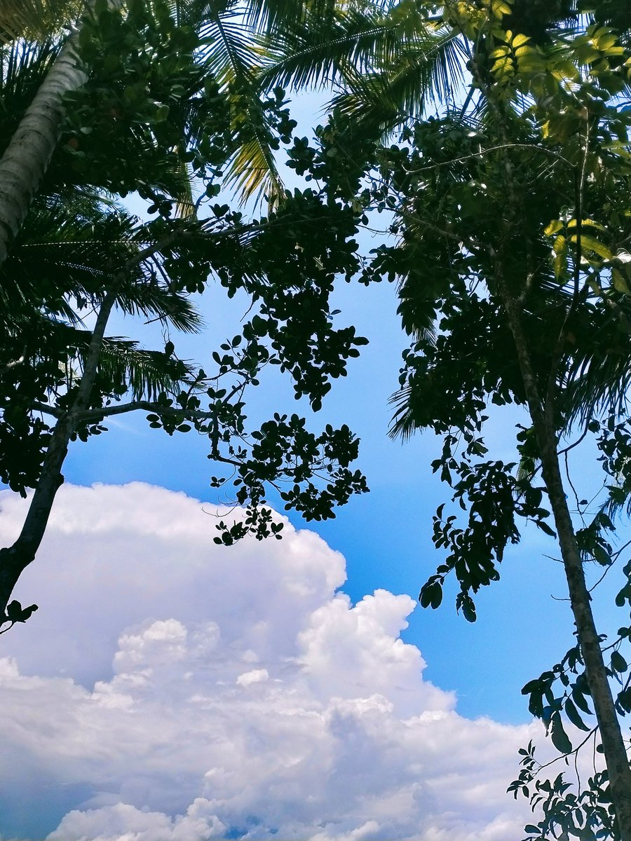 Home is not a place, its a feeling🤎🤍💙