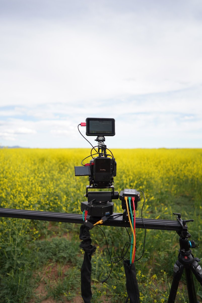 Andycinegear's tweet photo. 📸Outdoor shoot with @derricklytle.
#Andycine lunchbox II liberates the breathing system of #Atomos #Ninja V, perfectly save shooting results.
********************
#photography #outdoorphotography #rapeseed #sony #sonyalpha #atomx #atomosmaster #cameradepartment #armyourcamera https://t.co/b2UQ9imQiG