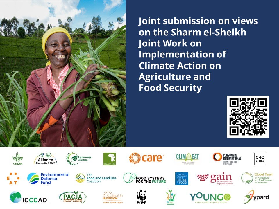 aditimukherji's tweet photo. Ahead of @UNFCCC #SB58, we published a set of recommendations on #SSJW:1️⃣ quickly move to implementation &amp; funds 📈 4 #ClimateAction in #ag 2️⃣ reassess the #JointWork governance3️⃣ consider #foodsystems as a new topic 4 discussion #ActOnFood @CGIAR
👉https://t.co/oes16YDlJq https://t.co/a3u3oIF0TF