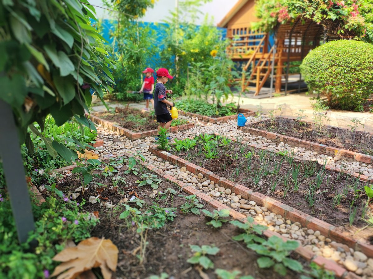 Leticia Cariño tweet media