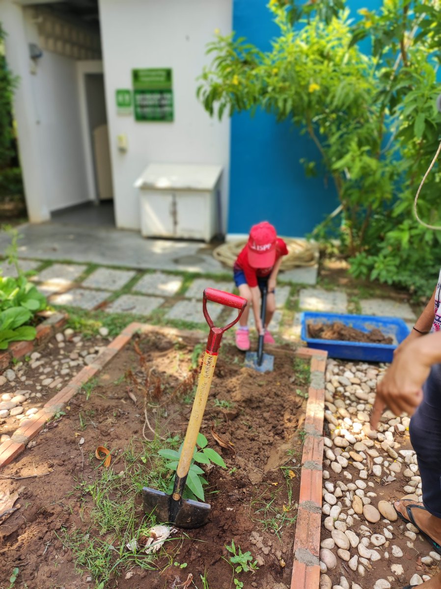 Leticia Cariño tweet media