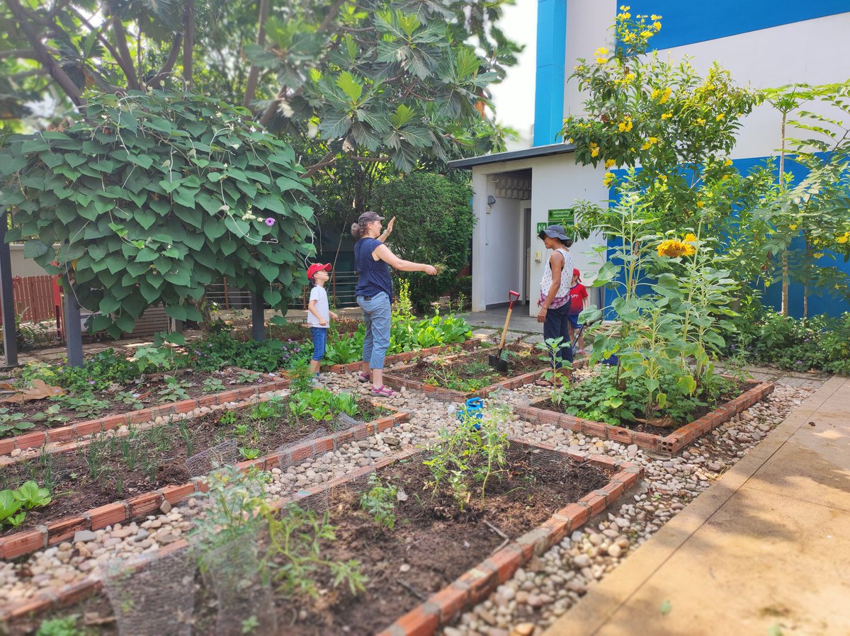 Leticia Cariño tweet media