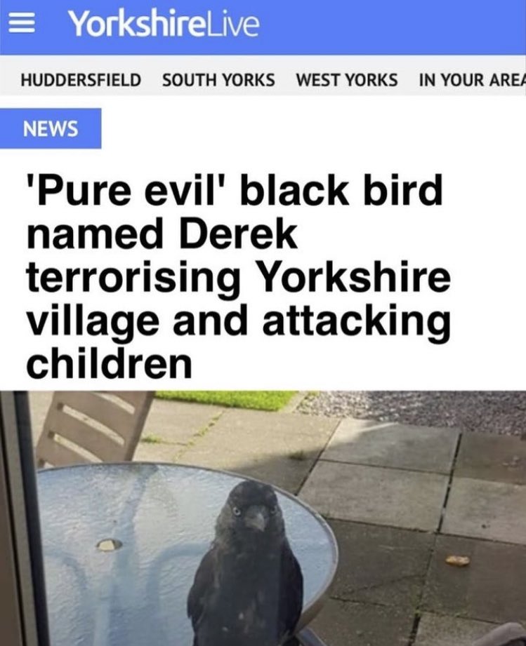 No Context Brits (@nocontextbrits) on Twitter photo 