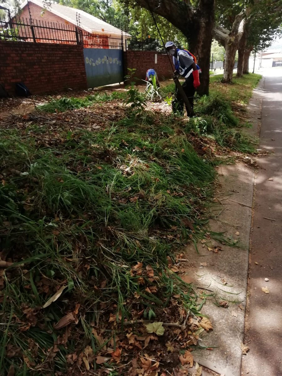 SerDev7's tweet photo. The Social Employment Fund (SEF) programme has made significant contributions to organisations &amp; communities. SerDev &amp; Temong gained valuable expertise. The program has been an invaluable asset for towns &amp; farms in various areas. 
#SerdevSEF #CommunityImpact #PositiveChange #IDC https://t.co/ChxoA45sOd