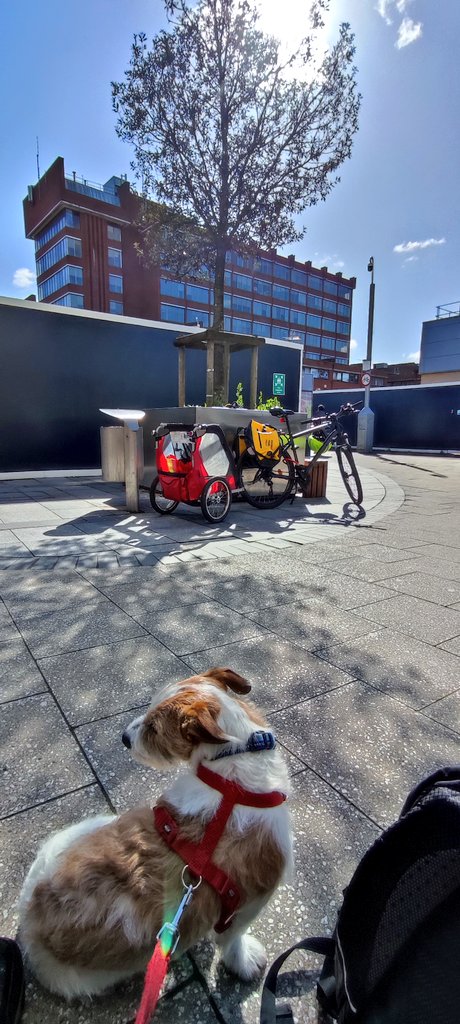 Firesnapper999's tweet photo. Man & Pup late for parade. Bike out on non β‘ MTB. Leg rest stop for #DecaffResus. #Farnborough https://t.co/pmiBmsHhM1