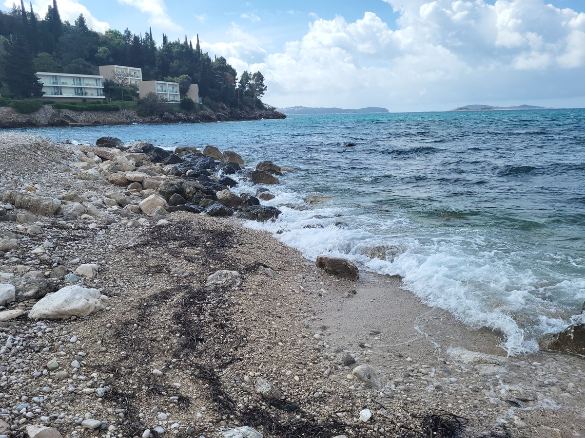 Scruncho_Speak's tweet image. Cannot deny the pure beauty of where #rebootdevelop is 🖤
