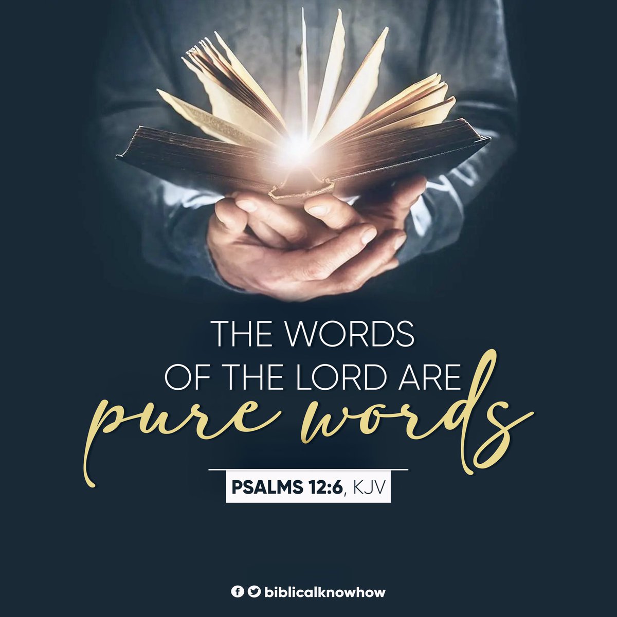 biblicalknowhow's tweet photo. @biblicalknowhow #VerseOfTheDay https://t.co/orjkcWPVuz