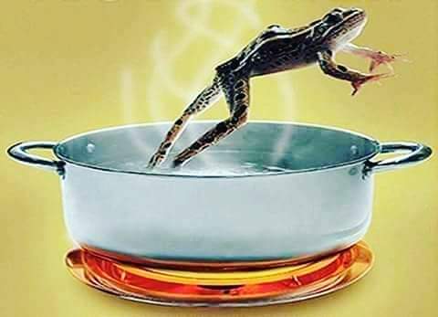 Pdizaina05's tweet photo. Nimeikuta sehemu.
Nairudia tena hapa

Ukimweka chura kwenye maji na ukaanza kuyachemsha maji, kadri joto la maji linavyozidi mwili wa chura utakuwa unajibadili joto lake pia kuendana na lile la maji.Chura ataendelea kuongeza joto la mwili wake kadri maji yanavyozidi kuchemka. https://t.co/Hd9qzxqZLv