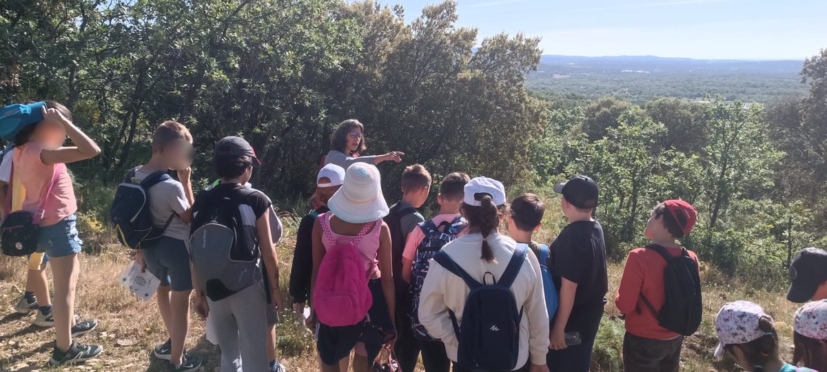 Hace unos días los alumnos de 4º de primaria realizaron la actividad “Aprendiz de Naturalista” guiados por el @arboretolc y disfrutaron mucho de nuestro entorno. 🦅🦋🐗🌿🌲🐞🐝