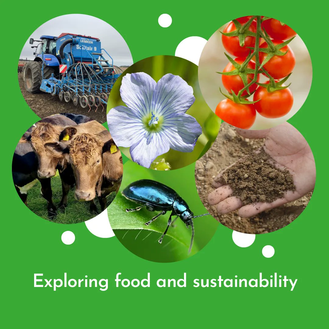 RHET (@therhet) on Twitter photo Have you seen our new Exploring Food and Sustainability learning resource yet? 🔍
Let us know what you think! 👉 buff.ly/3lRslfR
Thanks to <a href="/SCQFPartnership/">SCQF Partnership</a> and <a href="/LfSScotland/">Learning for Sustainability Scotland</a> Have you seen our new Exploring Food and Sustainability learning resource yet? 🔍
Let us know what you think! 👉 buff.ly/3lRslfR
Thanks to <a href="/SCQFPartnership/">SCQF Partnership</a> and <a href="/LfSScotland/">Learning for Sustainability Scotland</a>