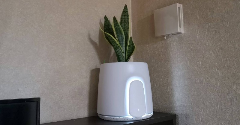 KibidangoJp's tweet photo. 思わず腐海を思い出す😂

植物が持つ浄化能力を利用する
全く新しい空気清浄機 #Natede
サンプルを設置してみた🌿😼

猫草を植えるべきだったか😂
#ファイトレメディエーション
#企業公式猫部 #保護猫
