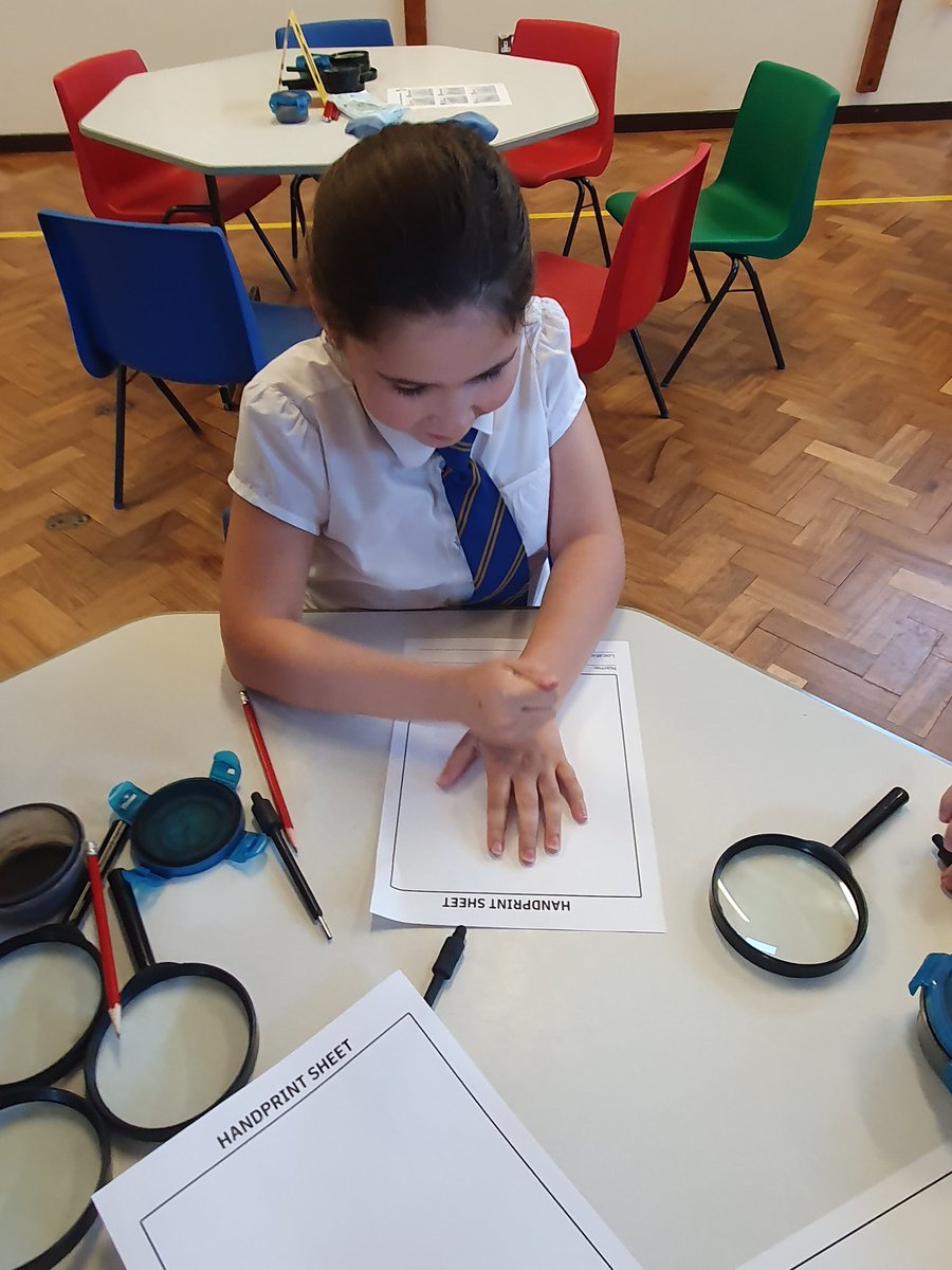 Y5Auckley tweet media