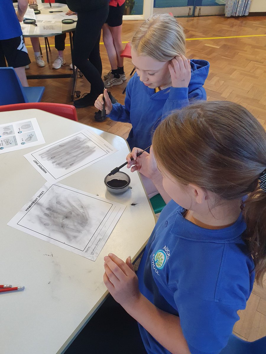 Y5Auckley tweet media